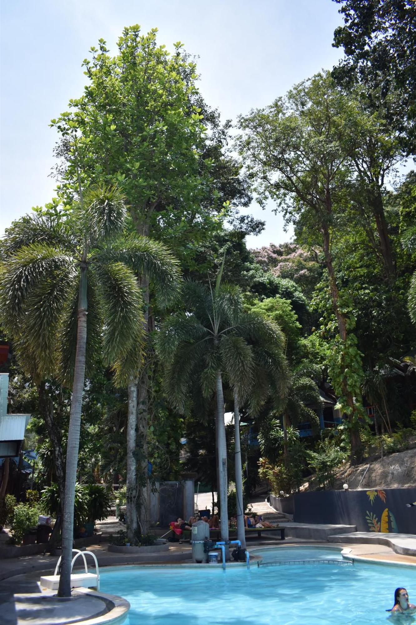 Blanco Hideout Railay - Youth Hostel 18 To 35 Only 외부 사진