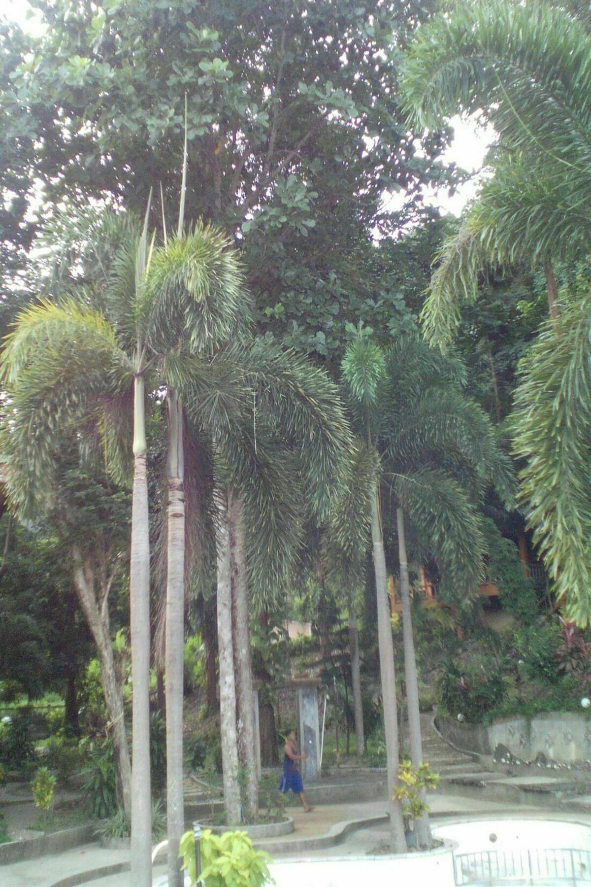 Blanco Hideout Railay - Youth Hostel 18 To 35 Only 외부 사진